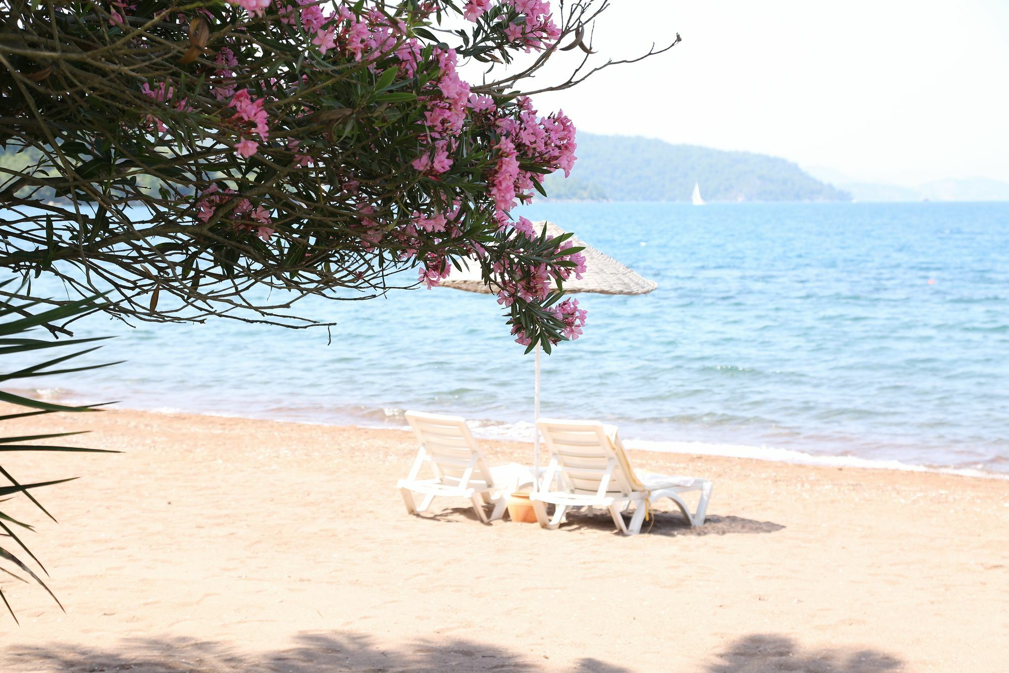 Golden Key Hisaronu Hotel Marmaris Eksteriør billede